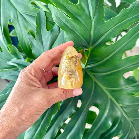 Golden Healer Freeform - Picture 2 of 6